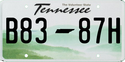 TN license plate B8387H