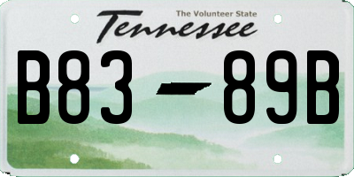 TN license plate B8389B