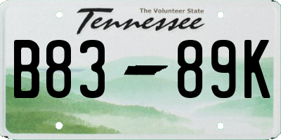 TN license plate B8389K