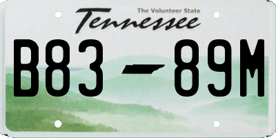 TN license plate B8389M