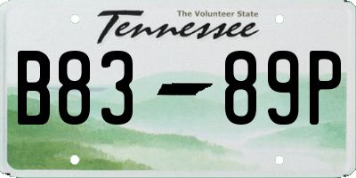 TN license plate B8389P