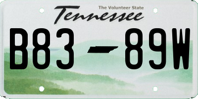 TN license plate B8389W