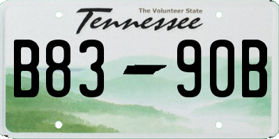 TN license plate B8390B
