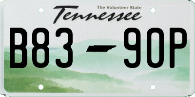 TN license plate B8390P
