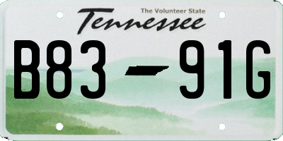 TN license plate B8391G