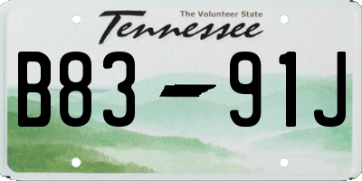 TN license plate B8391J