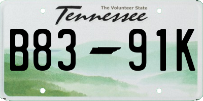 TN license plate B8391K