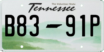 TN license plate B8391P