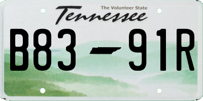 TN license plate B8391R