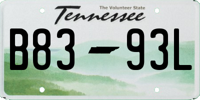 TN license plate B8393L