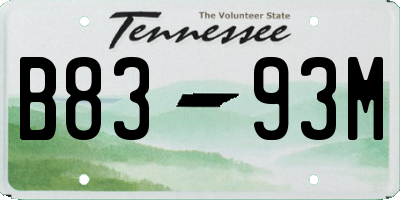 TN license plate B8393M