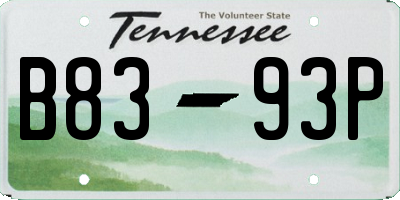 TN license plate B8393P