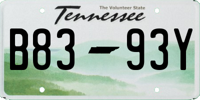 TN license plate B8393Y