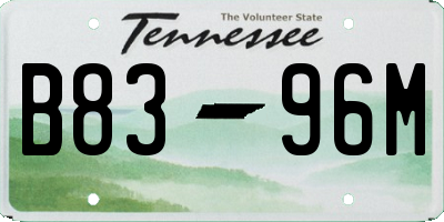 TN license plate B8396M