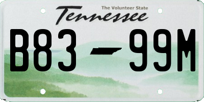 TN license plate B8399M