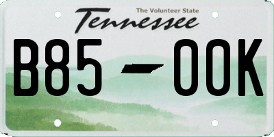 TN license plate B8500K