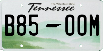 TN license plate B8500M