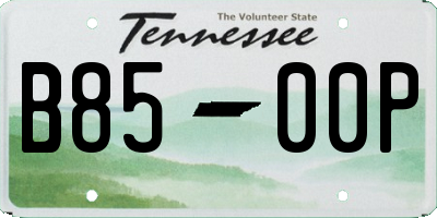 TN license plate B8500P