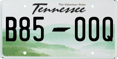 TN license plate B8500Q