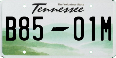 TN license plate B8501M