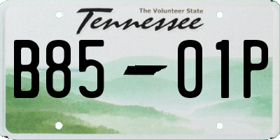 TN license plate B8501P