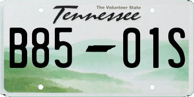 TN license plate B8501S