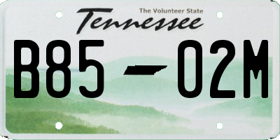 TN license plate B8502M
