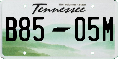 TN license plate B8505M