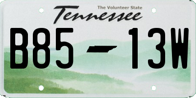 TN license plate B8513W