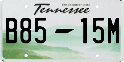 TN license plate B8515M