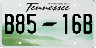 TN license plate B8516B