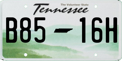 TN license plate B8516H