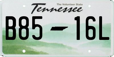 TN license plate B8516L
