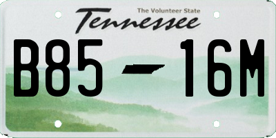 TN license plate B8516M