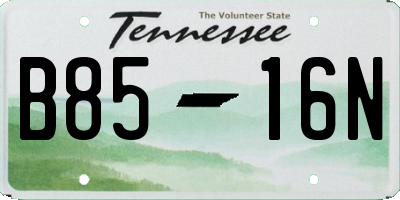 TN license plate B8516N