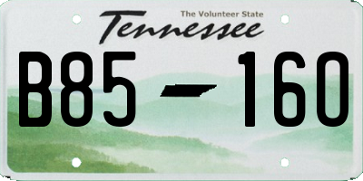 TN license plate B8516O