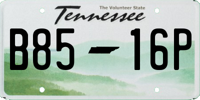 TN license plate B8516P