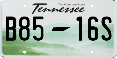 TN license plate B8516S