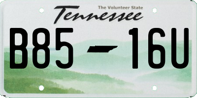 TN license plate B8516U