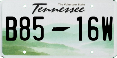 TN license plate B8516W