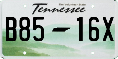 TN license plate B8516X