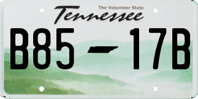 TN license plate B8517B