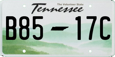 TN license plate B8517C