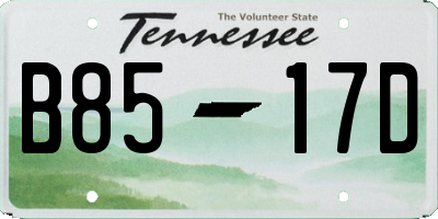 TN license plate B8517D