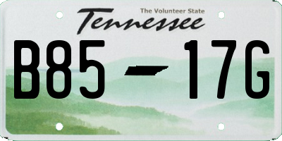 TN license plate B8517G