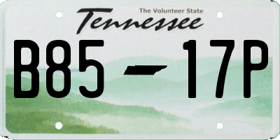 TN license plate B8517P
