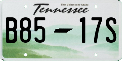 TN license plate B8517S