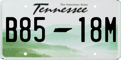 TN license plate B8518M