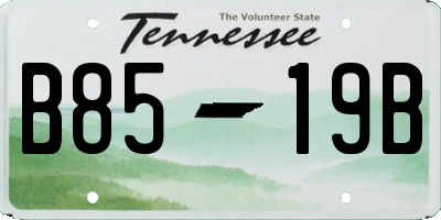 TN license plate B8519B