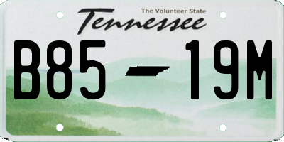 TN license plate B8519M